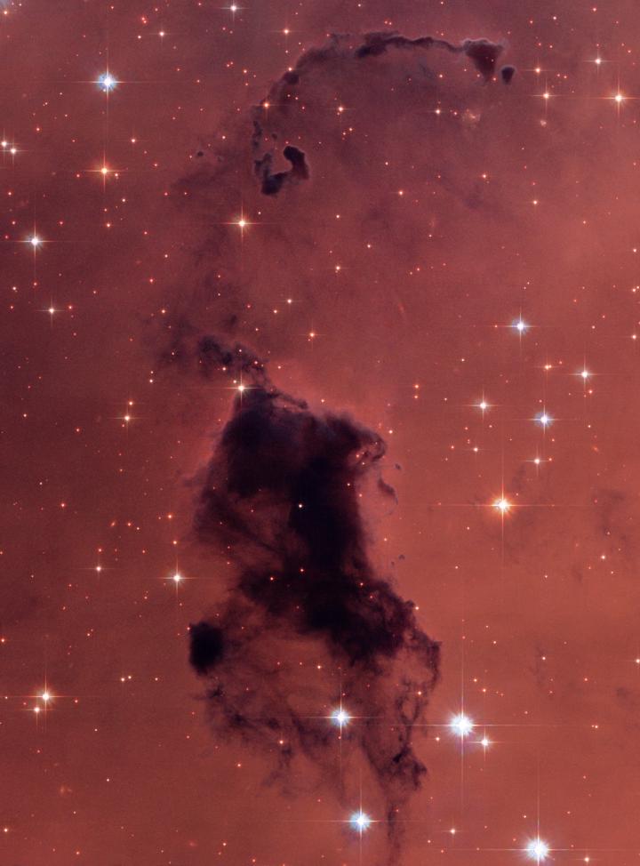 Bok-Globule in NGC 281