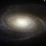 M81