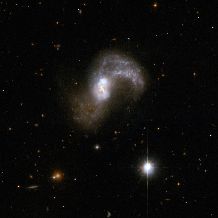 IC 2545