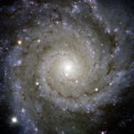M 74