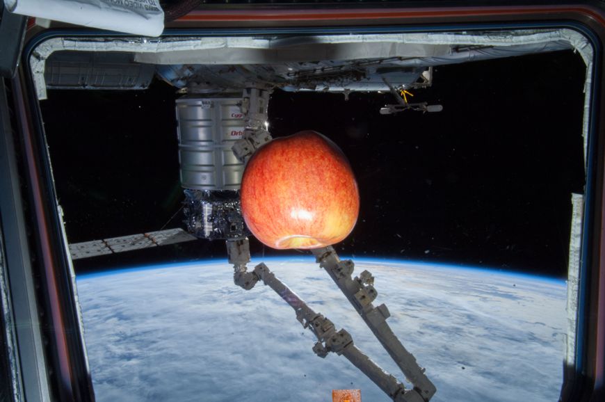 Apfel