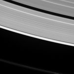 Daphnis
