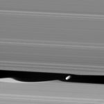 Daphnis