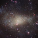 NGC 4242