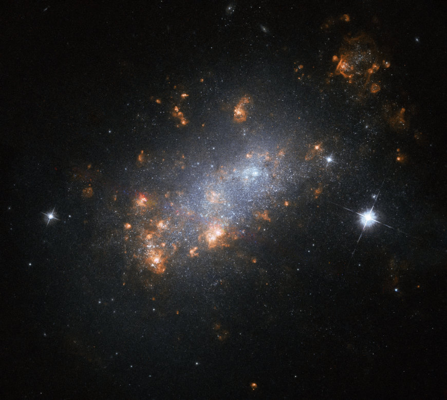 NGC 1156