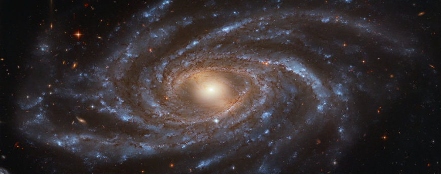 NGC 2336