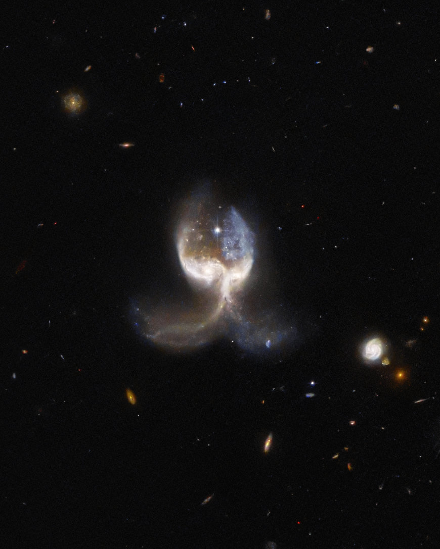 VV689