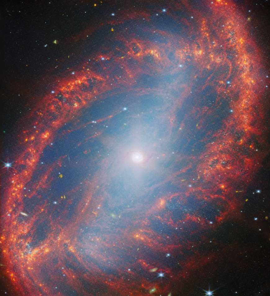 NGC 2566