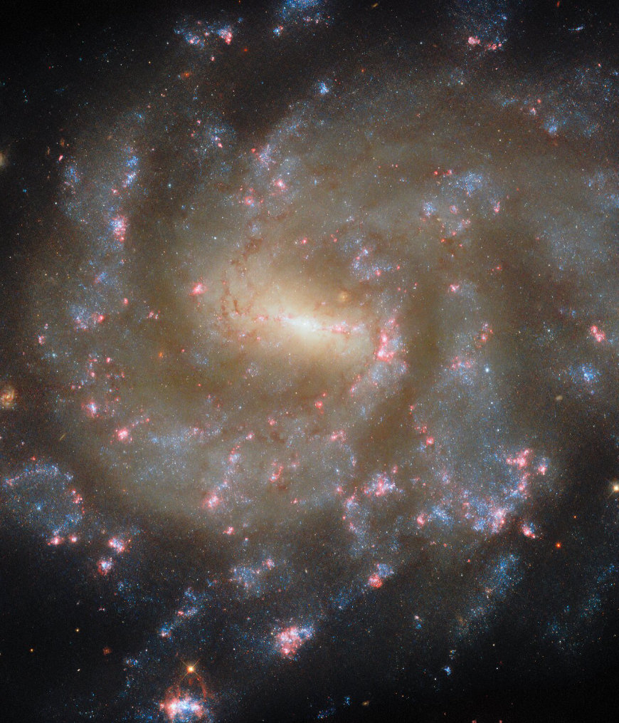 NGC 685