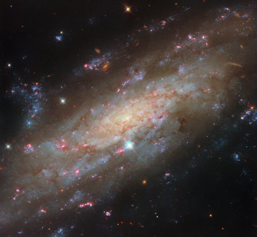 NGC 3137