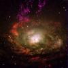 Zirkel Galaxie