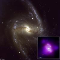 NGC 1365