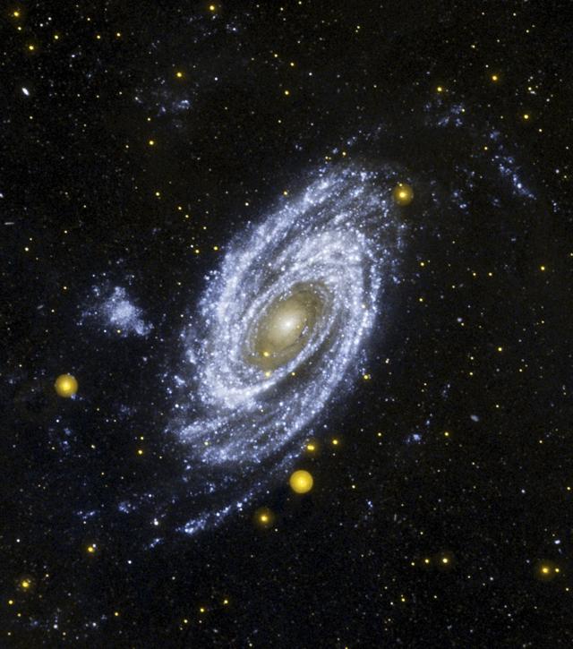 M81