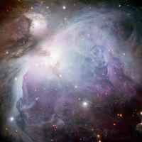 M42