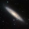NGC 253