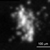 67P