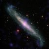 NGC 1448