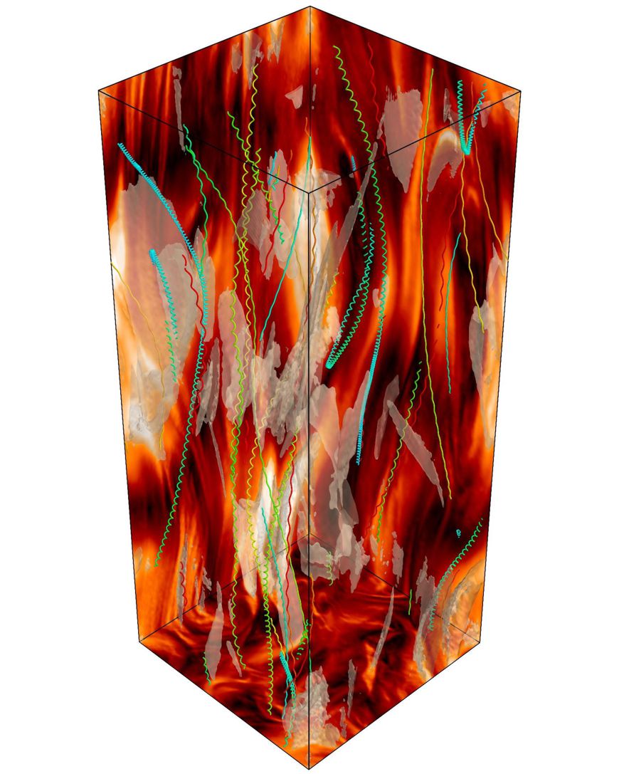 Simulation