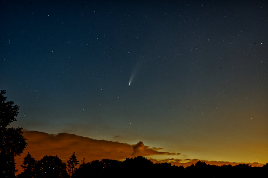 Neowise - Fingerhuth