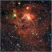Protostern