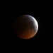 Mond