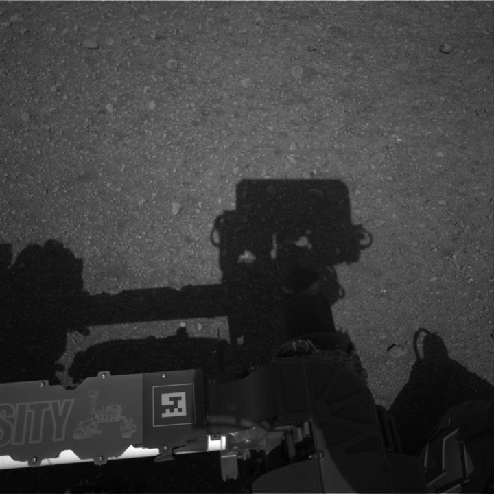 Curiosity - Mast